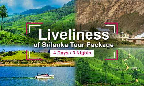 Liveliness of Srilanka Tour Package